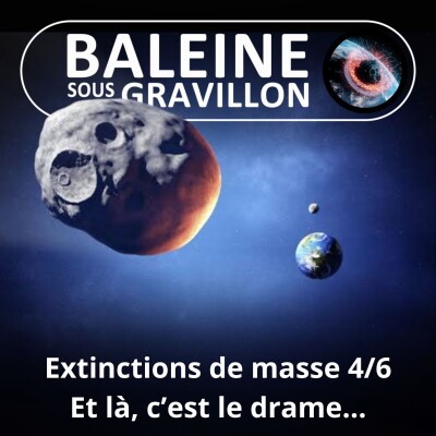 S03E17 Grandes extinctions de masse 4/6 : Et là, c'est le drame... cover
