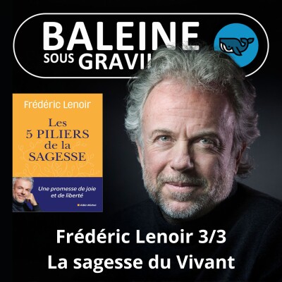 S07E72 Les 5 piliers de la sagesse 3/3 : Les leçons de Vivant (Frédéric Lenoir) cover