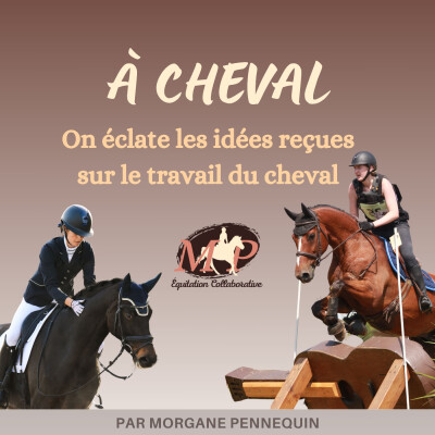 [On éclate les idées reçues] 3. Le travail à pied n'abîme pas les chevaux avec Lucie @LLC dressage cover