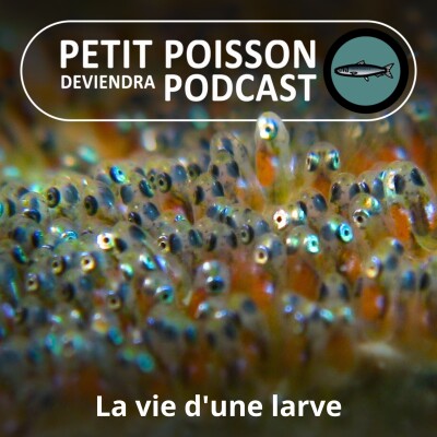 S03E35 À quoi ressemble la vie d'une larve de poisson ? (Bill François) cover