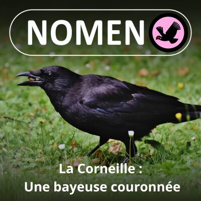 S03E02 La Corneille craille, le Corbeau croasse, la caravane Nomen passe... cover