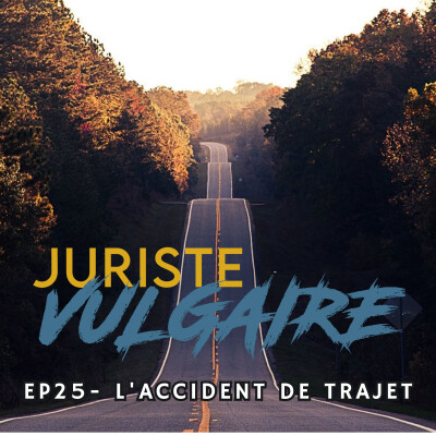 #25 -  L'accident de trajet cover