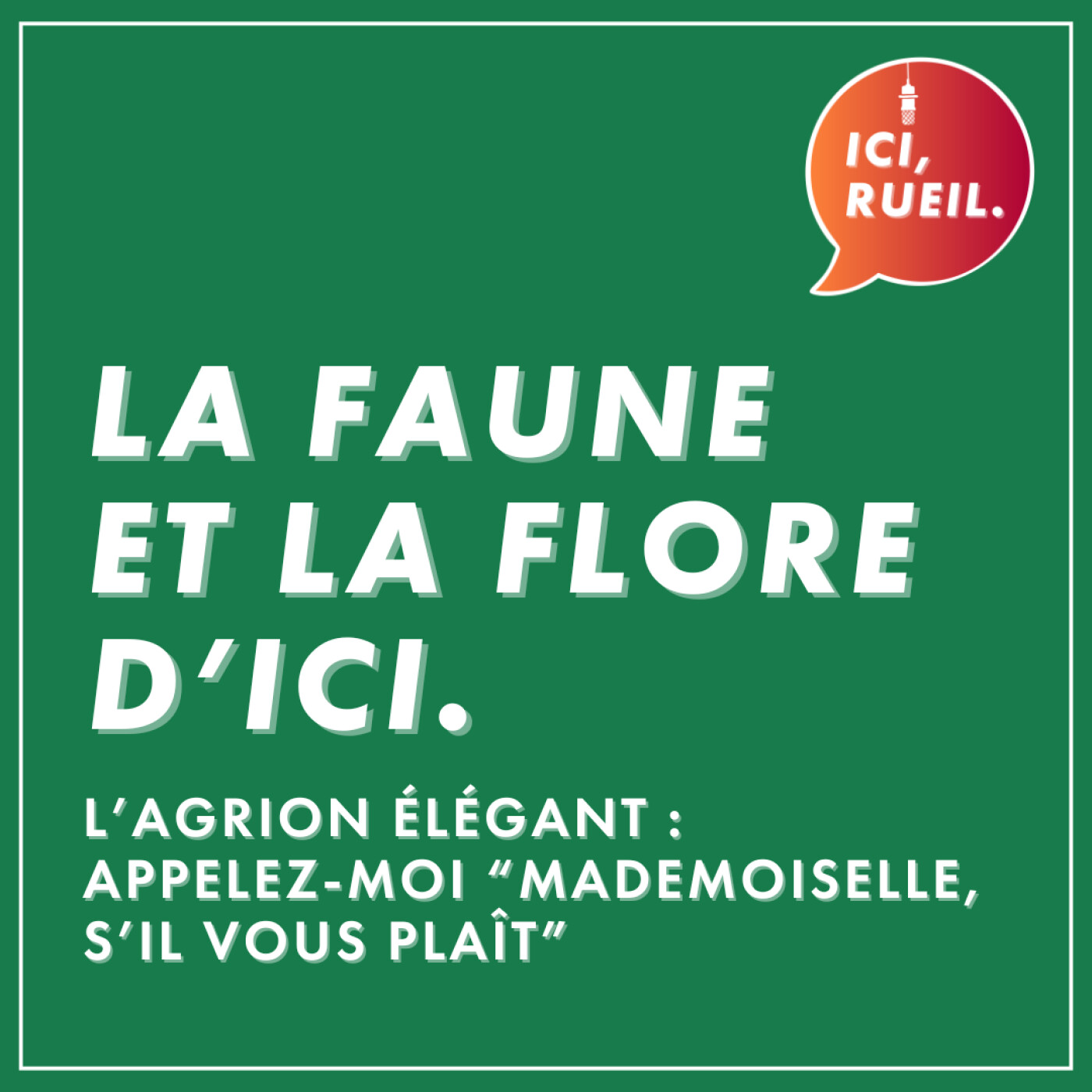 La Faune et la Flore d'Ici : L'agrion élégant, appelez-moi "mademoiselle s'il vous plaît" episode artwork