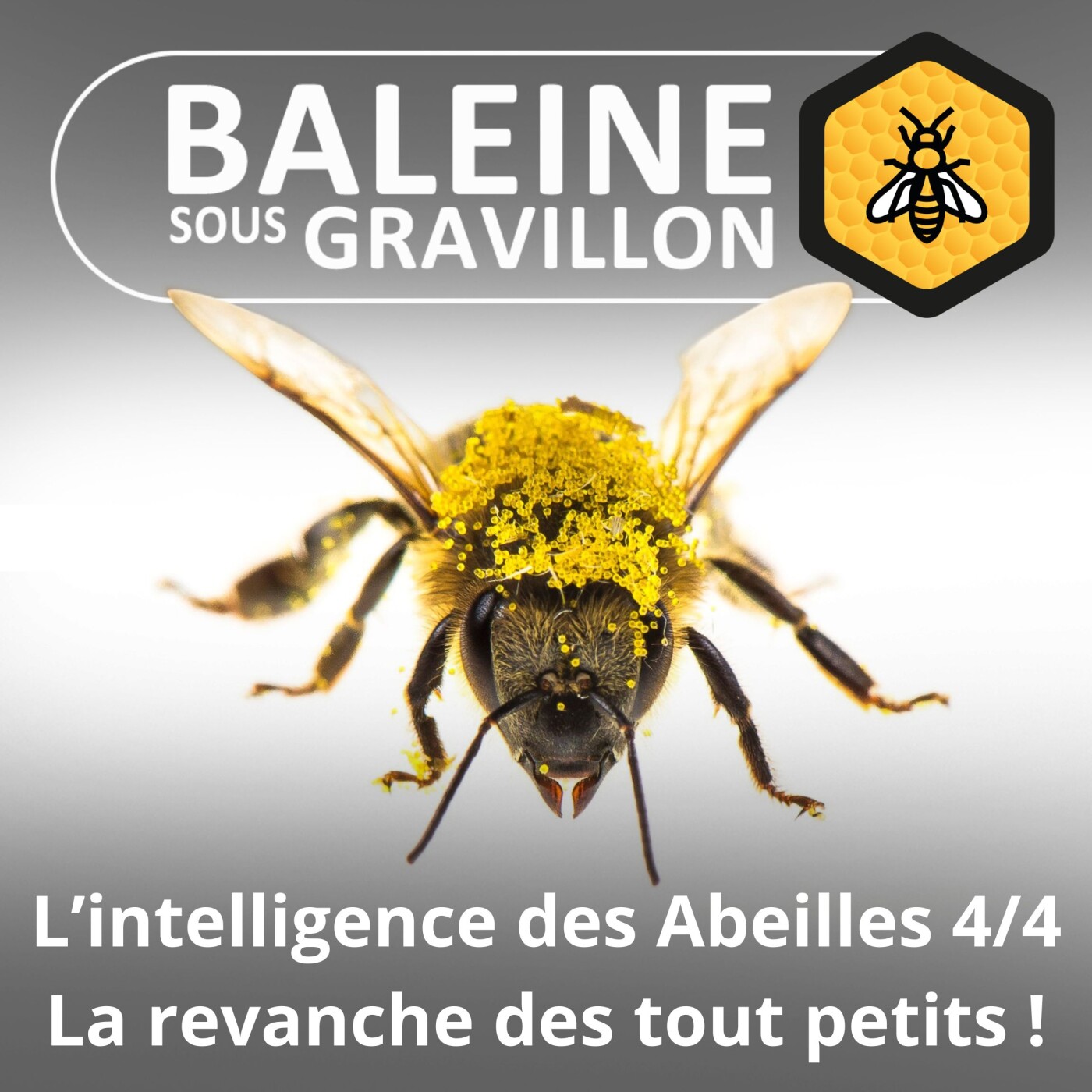 S02E116 L'intelligence des Abeilles 4/4 : Petites... mais géniales ! episode artwork