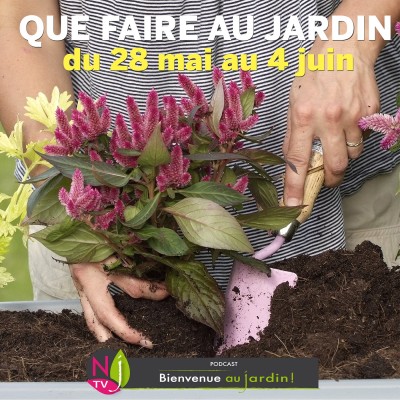 QUE FAIRE DANS LE JARDIN DU 28 MAI AU 4 JUIN ? cover
