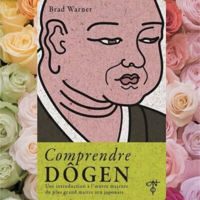 Comprendre Dôgen by Brad Warner cover