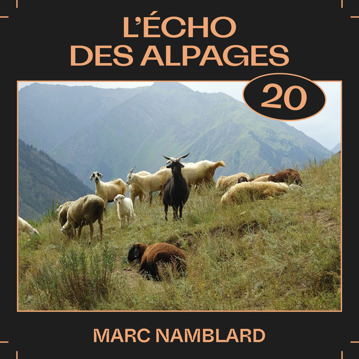 #20 â L'Ă©cho des alpages, avec Marc Namblard