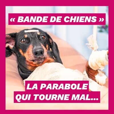 Pourquoi Jésus insulte-t-il une femme étrangère ? cover