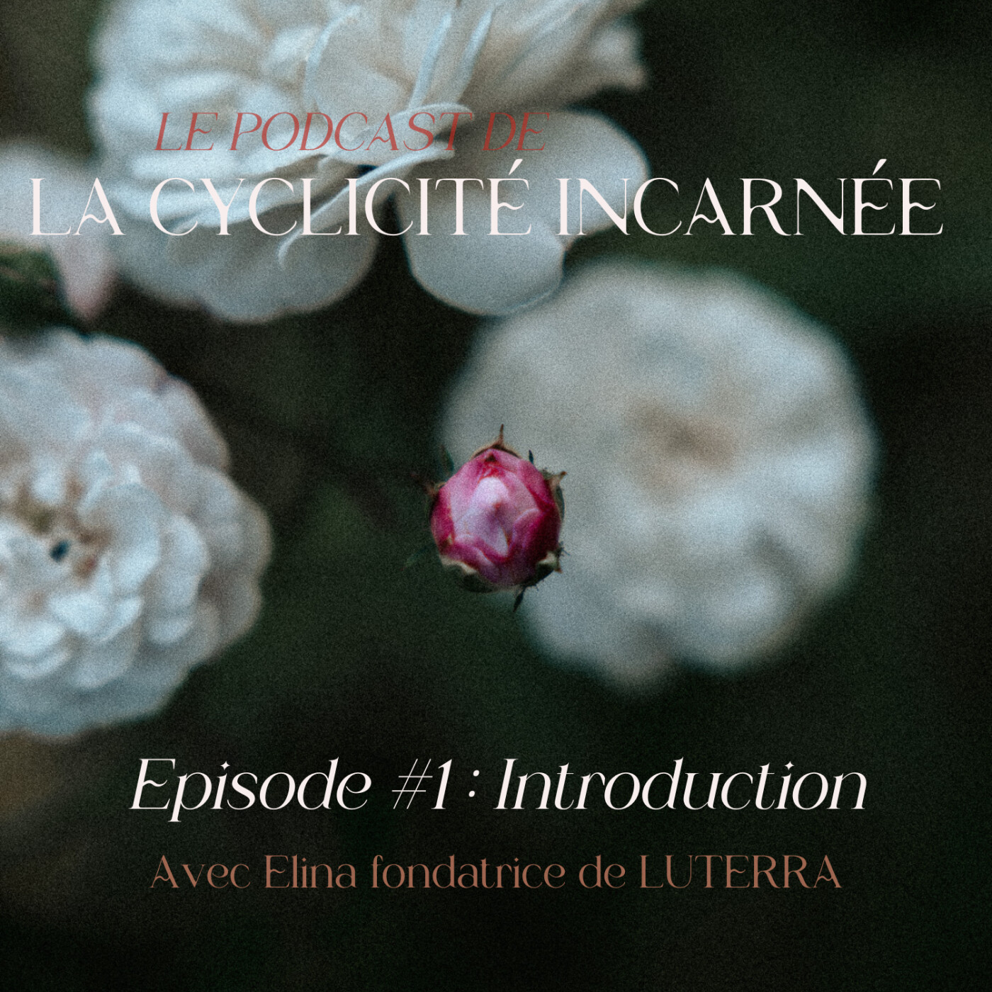 Cyclicité Incarnée