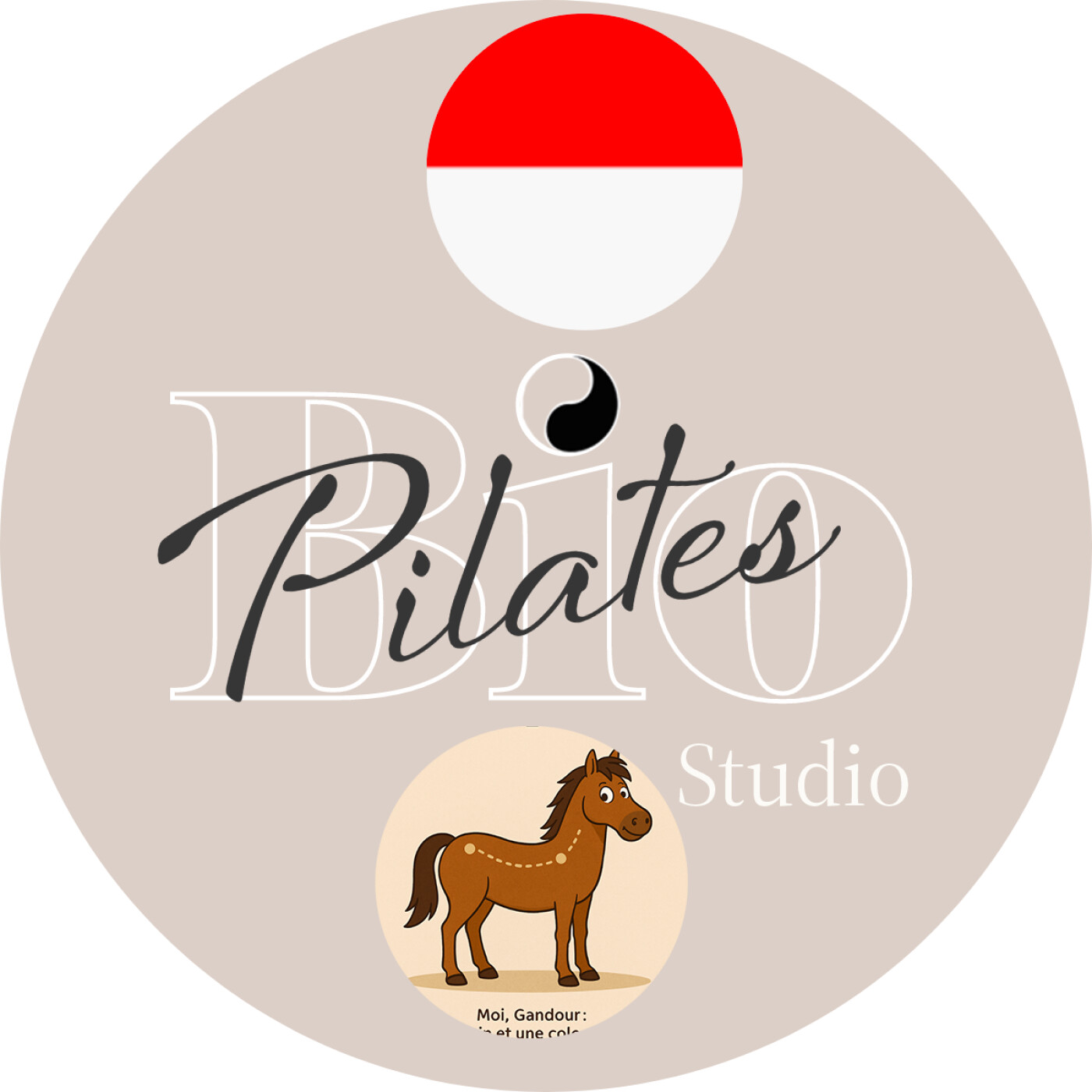 🇮🇩 Anatomi dan Keseimbangan Pelvis: Manusia dan Kuda - Pelvis placement Stott Pilates episode artwork