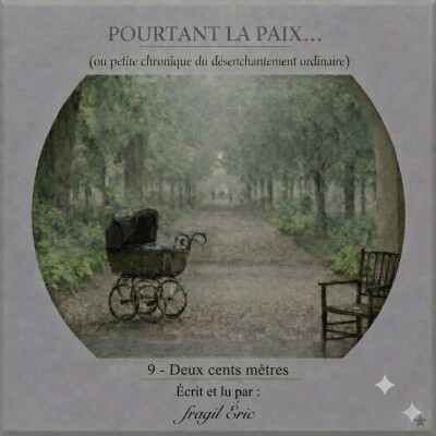 9 - DEUX CENTS METRES #romanaudio #audioroman #chronique #histoiredevie - POURTANT LA PAIX (petite chronique du désenchantement ordinaire) cover
