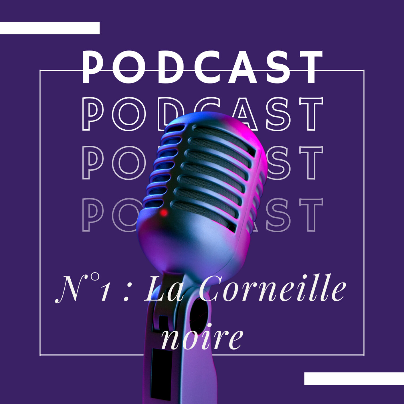 Notre voisine la Corneille : Gangster ou Génie ? Notre voisine la Corneille : Gangster ou Génie ?