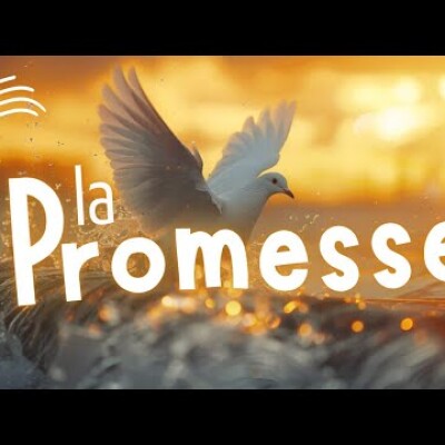 Parole et Évangile du jour |  Dimanche 25 mai • La Charité avant tout ! cover