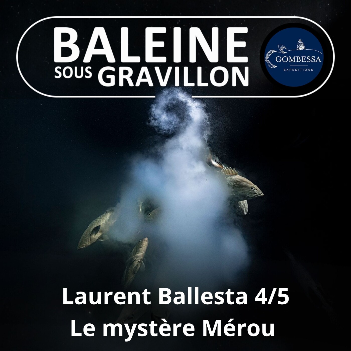 S03E04 Laurent Ballesta 4/5 : Le mystère Mérou episode artwork