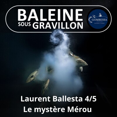 Show cover