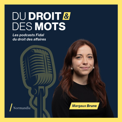 Réseaux sociaux et contrat de travail : jusqu’où va la liberté d’expression du salarié ? cover