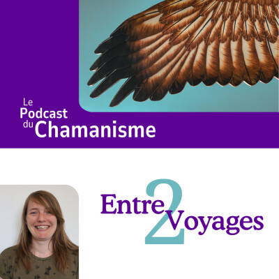 Entre2Voyages-02 Nettoyer des mémoires selon Louis Ansa. cover