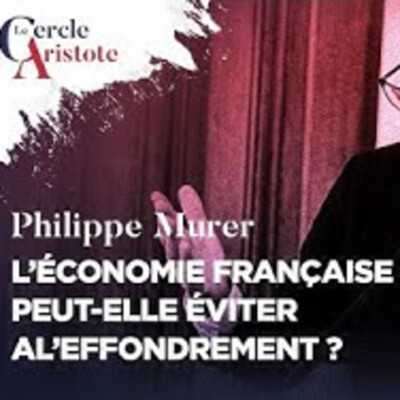 L'économie française peut-elle éviter l'effondrement ? - P. Murer - # politique cover