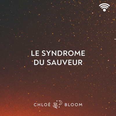 Le syndrome du sauveur cover