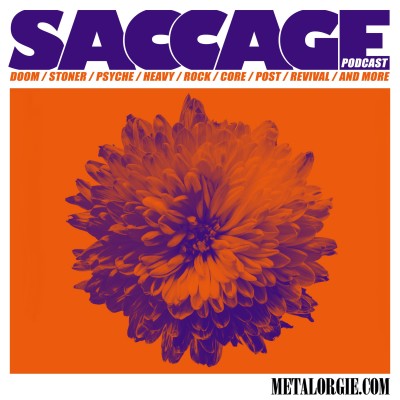 SACCAGE S01E31 Marquer le Coup cover