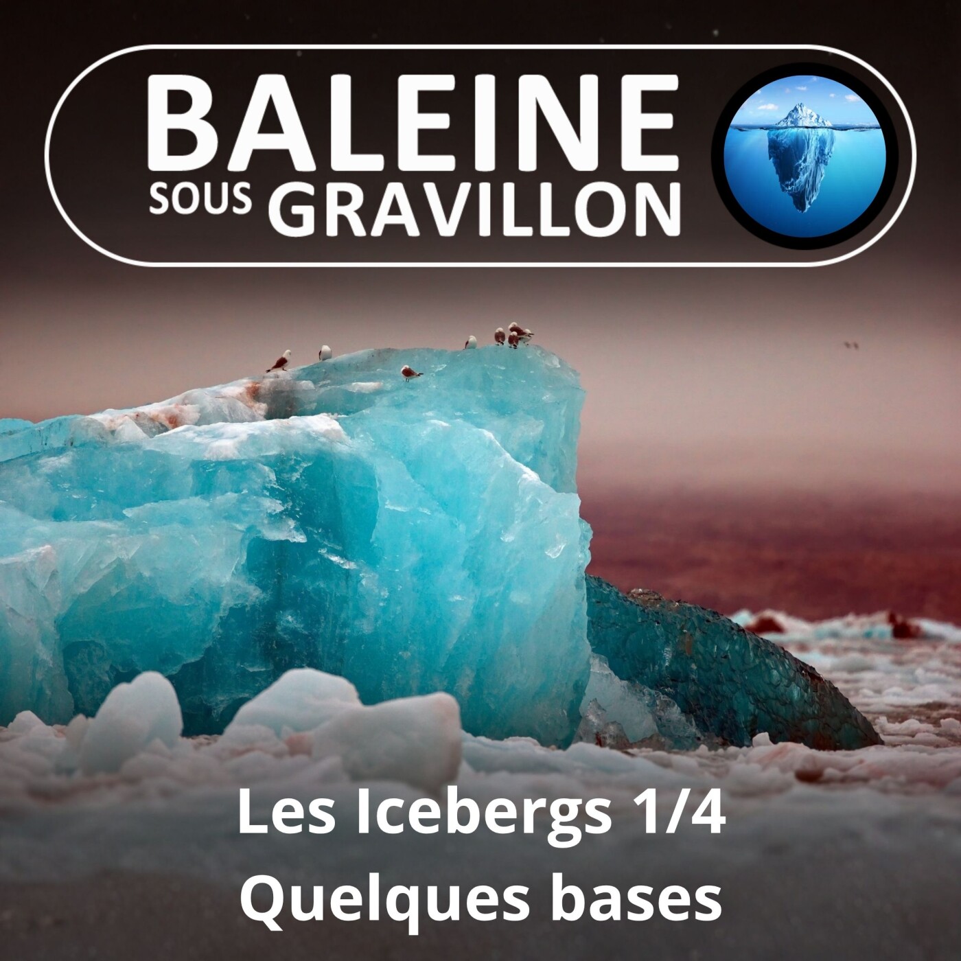 S02E70 Les Icebergs 1/4 : Briser la glace... quelques bases (Olivier Remaud) episode artwork