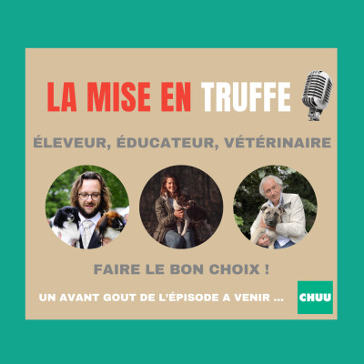 [MISE EN TRUFFE] Comment choisir les meilleurs professionnels pour votre chien ? cover