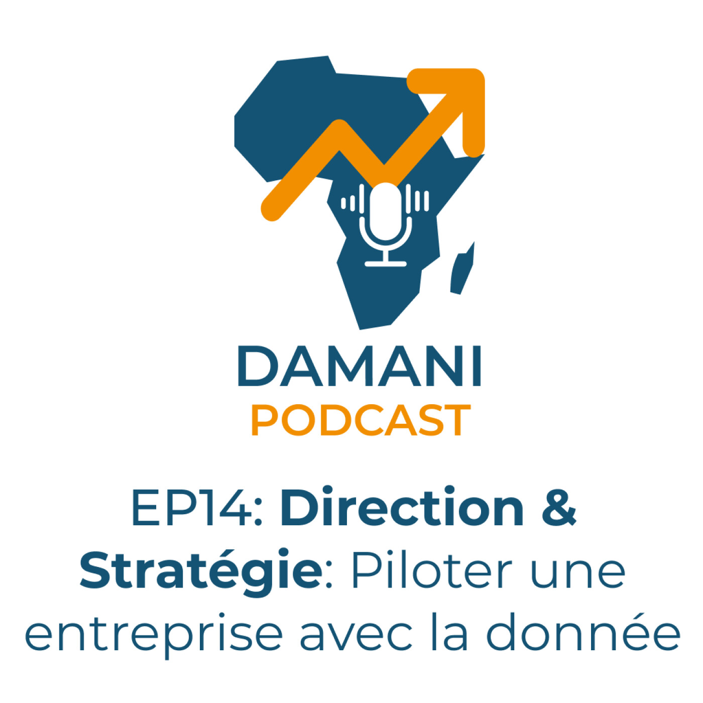 Direction et Stratégie: Piloter une entreprise avec la donnée Direction et Stratégie: Piloter une entreprise avec la donnée