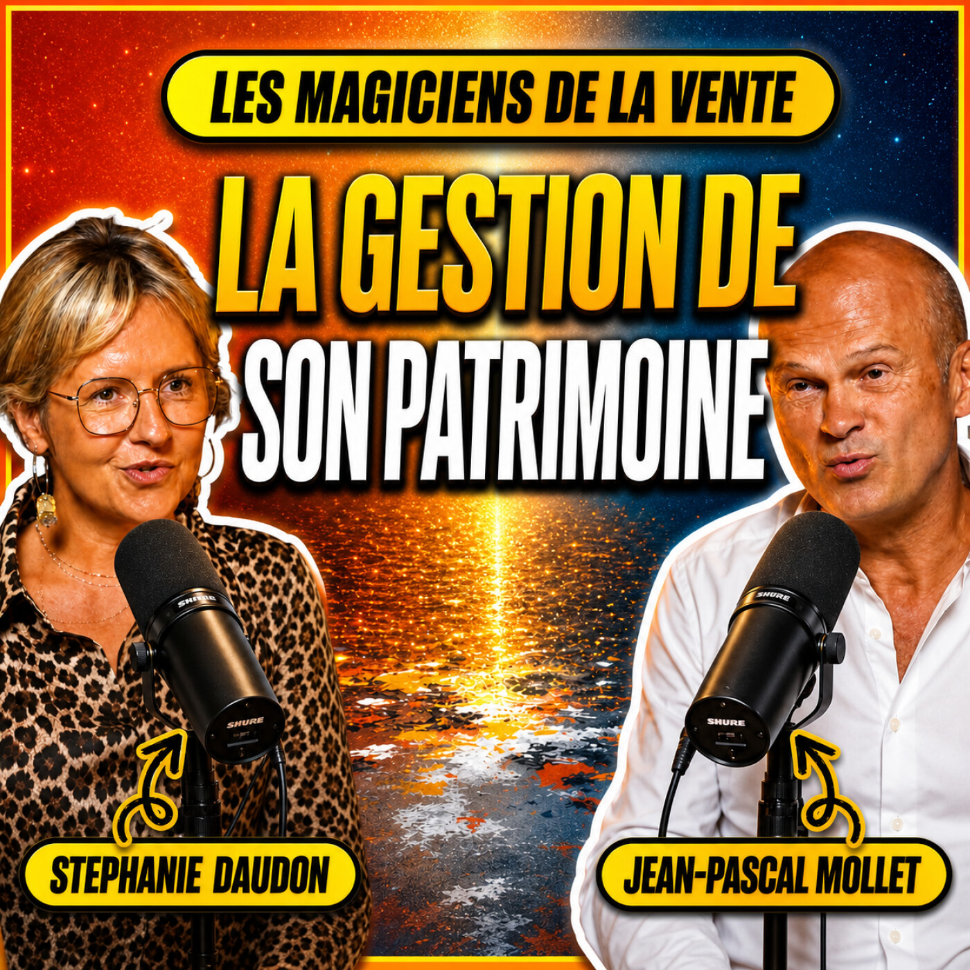 Les Magiciens de la Vente