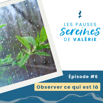 Episode 6 - Les Pause Sereines de Valérie : Observer ce qui est là cover