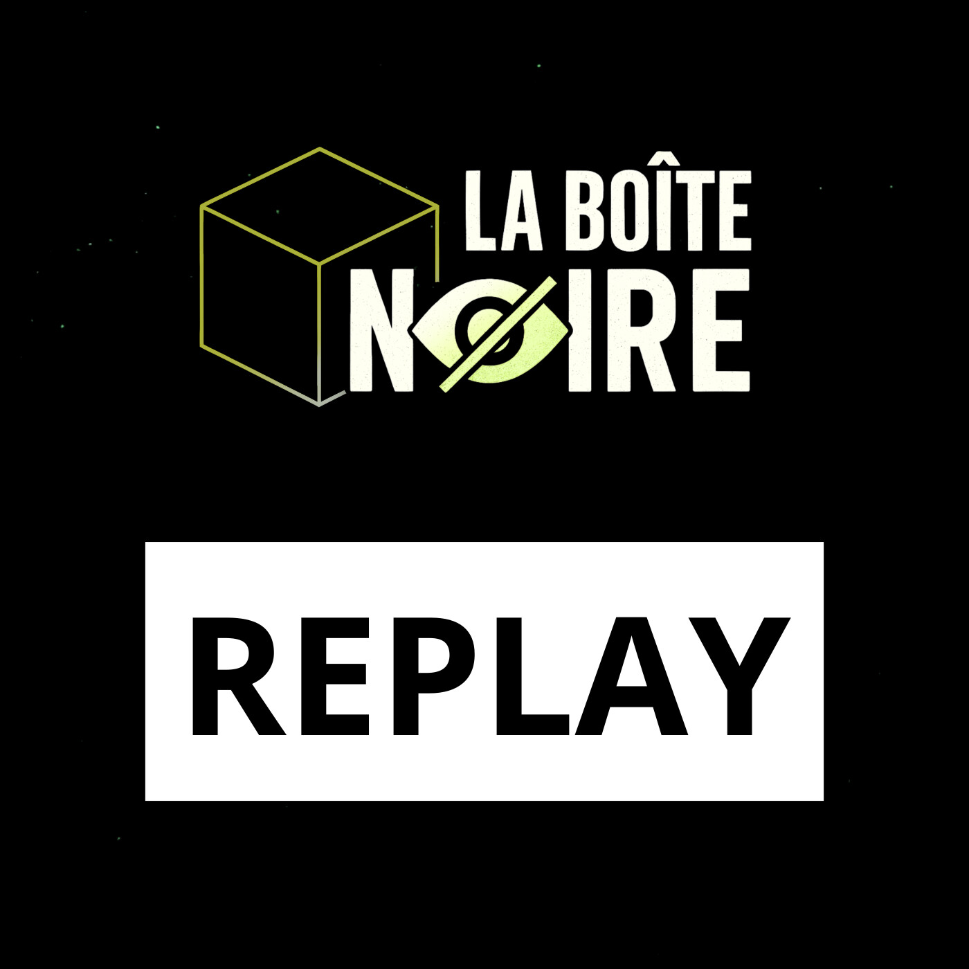 Vérification de l'âge en ligne et Affaire X | Eric Bothorel, Député [LBN EP11]