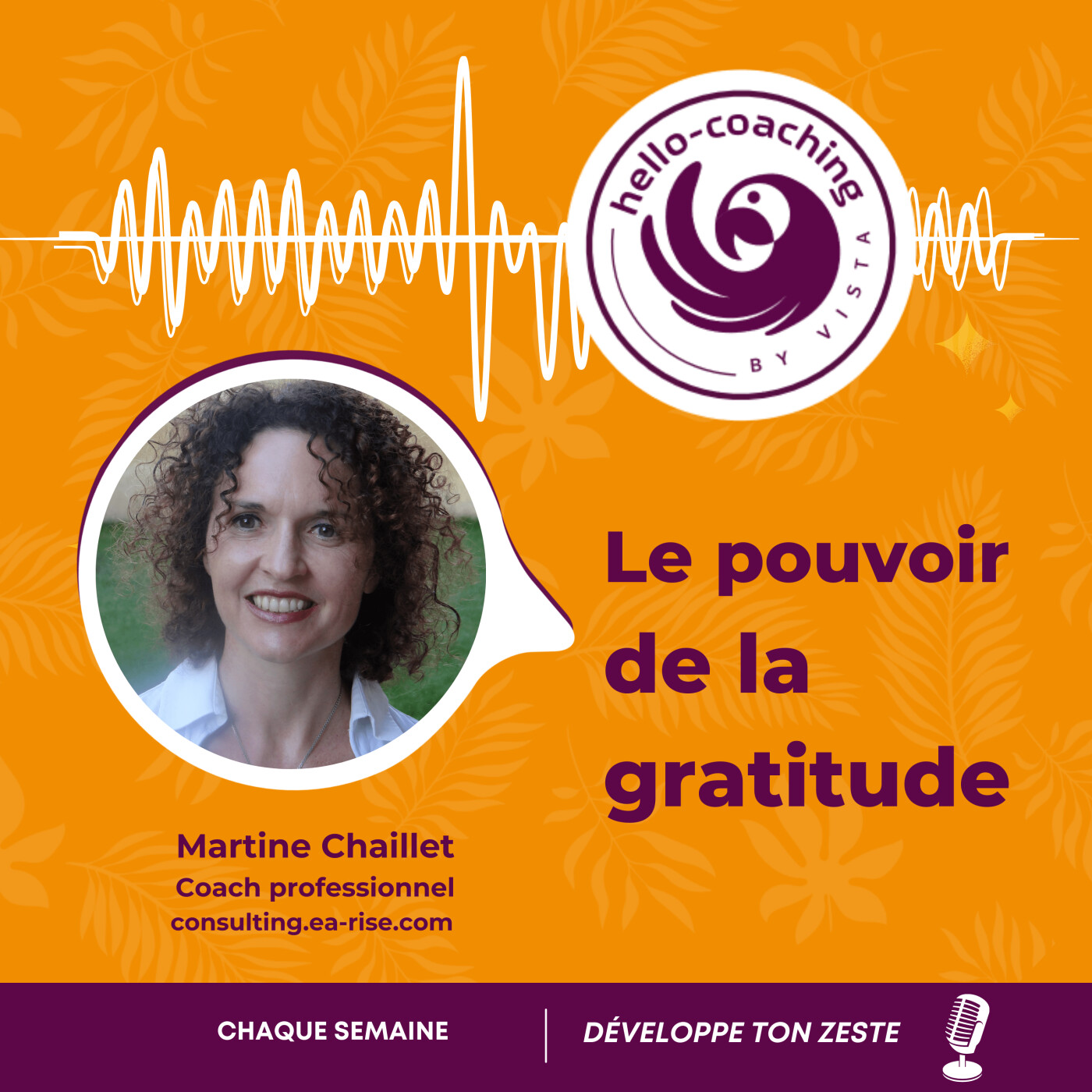 Le pouvoir de la gratitude episode artwork