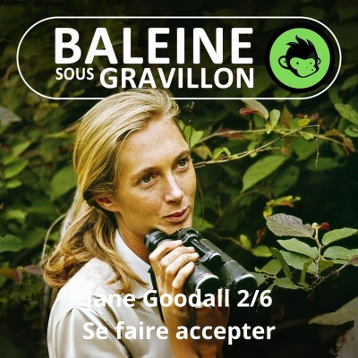 S07E22 Jane Goodall 2/6 : 5 mois... pour se faire accepter des chimpanzés (Emmanuelle Grundmann) cover