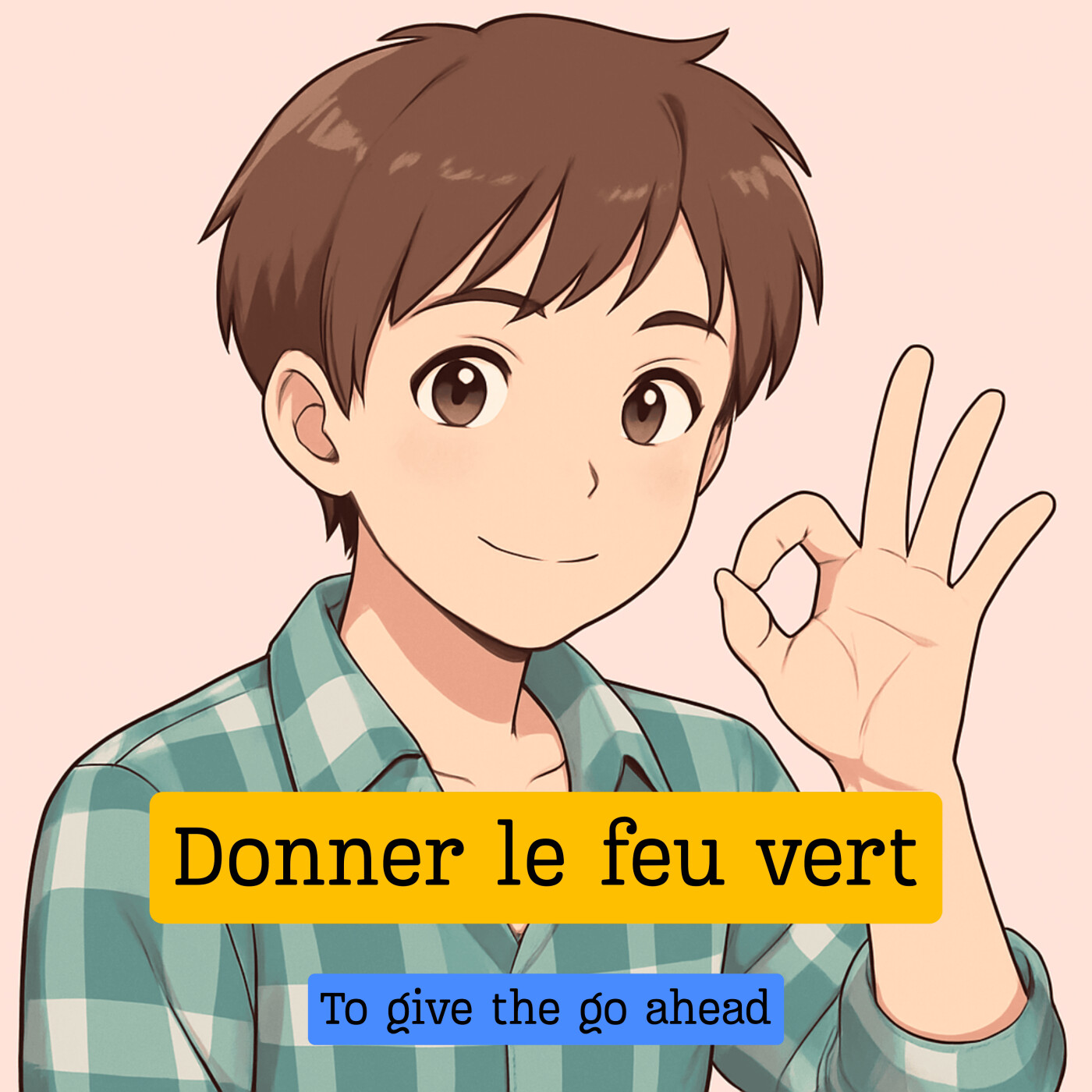 Expression française : "Donner le feu vert"