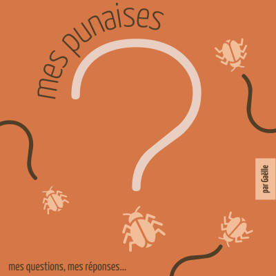 E50 les cartes à jouer cover