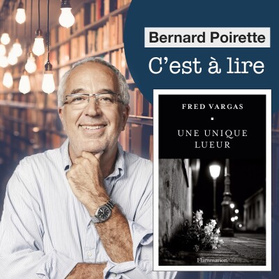 254. "Une unique lueur" de Fred Vargas cover