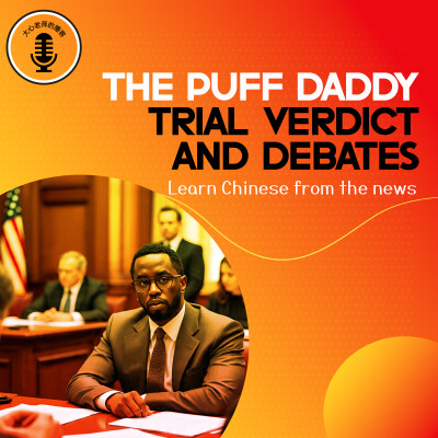 The Puff Daddy Trial Verdict And Debates cover