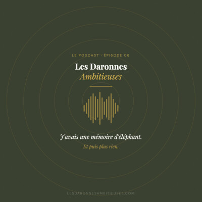 06- J'avais une mémoire d'éléphant et puis plus rien cover