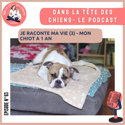 Je raconte ma vie - mon chiot a un an cover