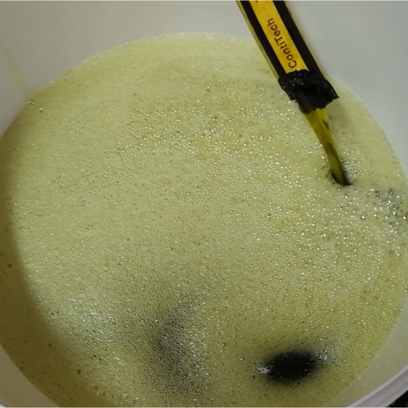 Bio Entrepreneur - Business Régénératif