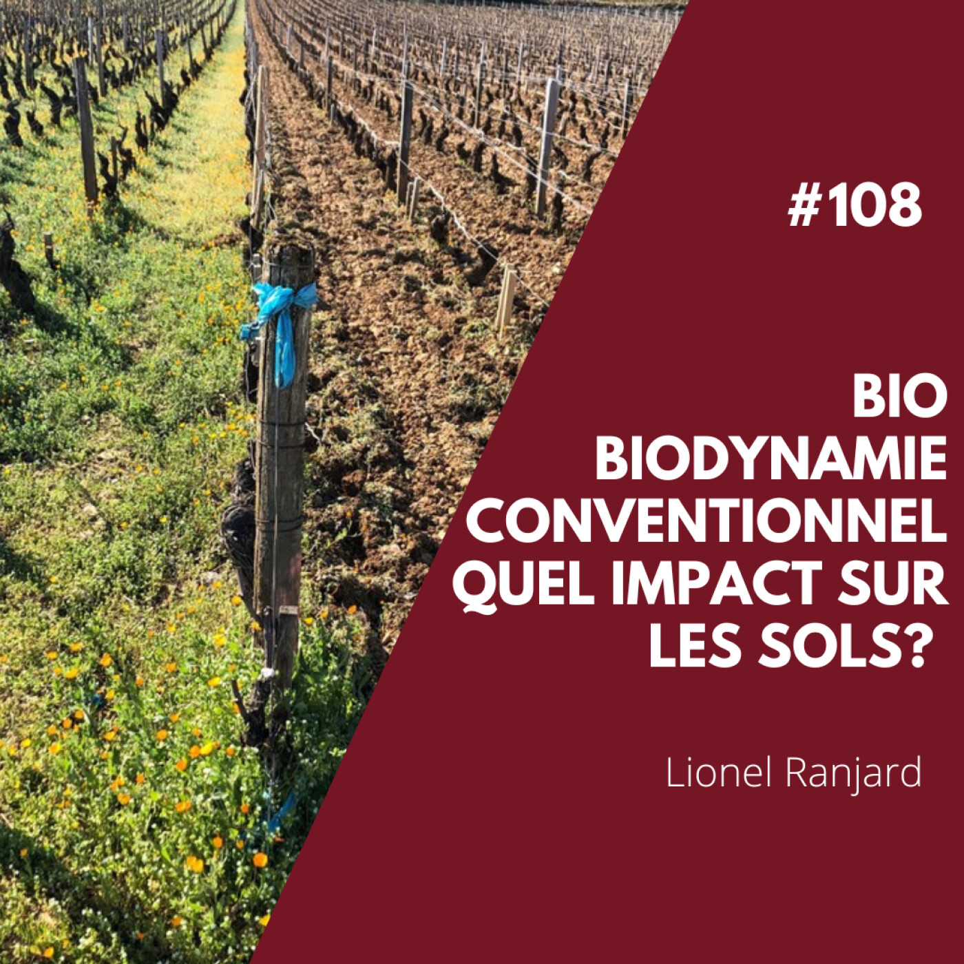 #108 - Bio, Biodynamie, Conventionnel : Quel Impact Sur Les Sols?