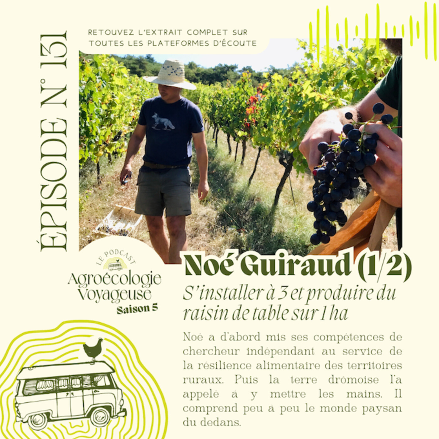 #131 Noé Guiraud 🍇 S’installer à 3 pour produire du Raisin de table sur 1 ha (1/2)