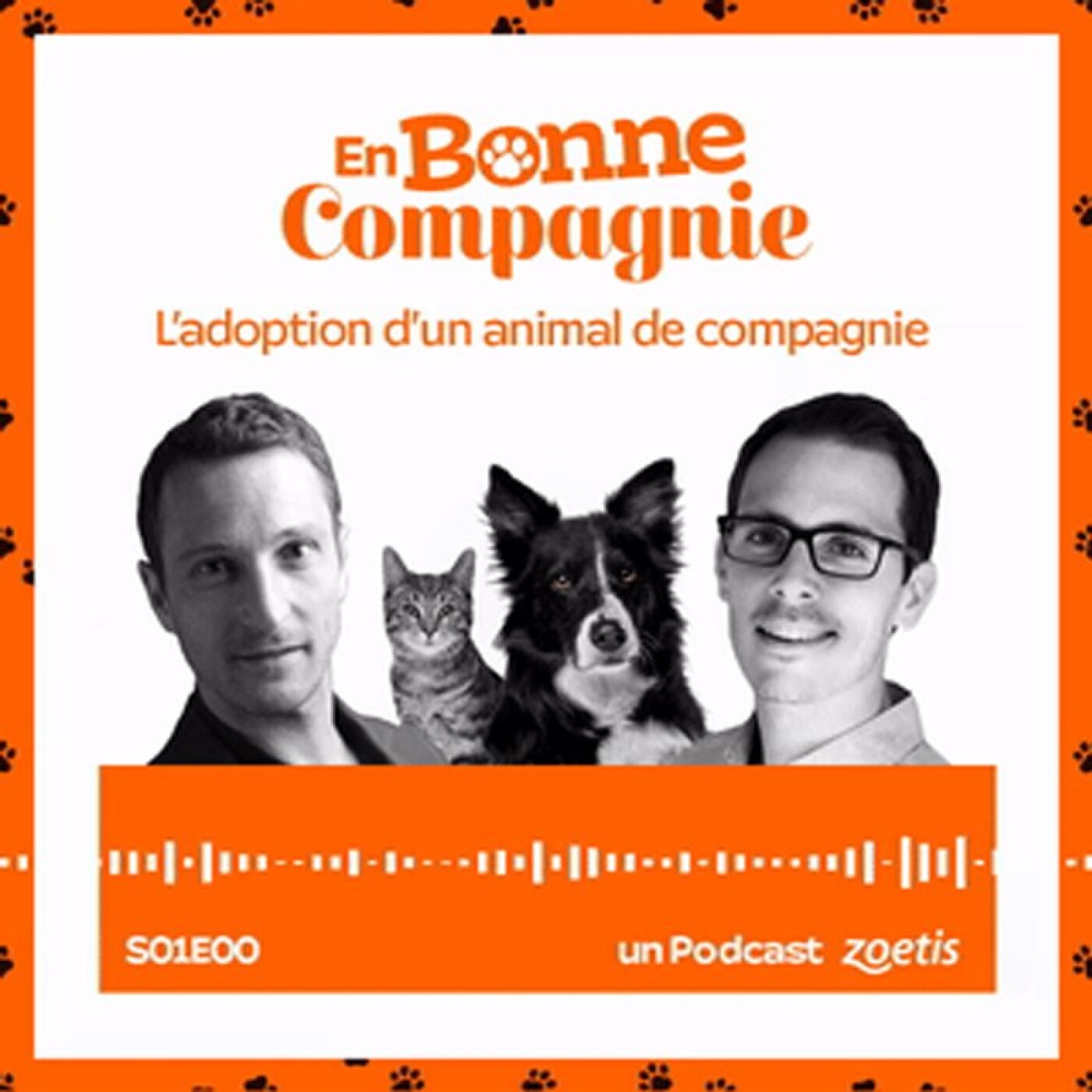 L'adoption d'un animal