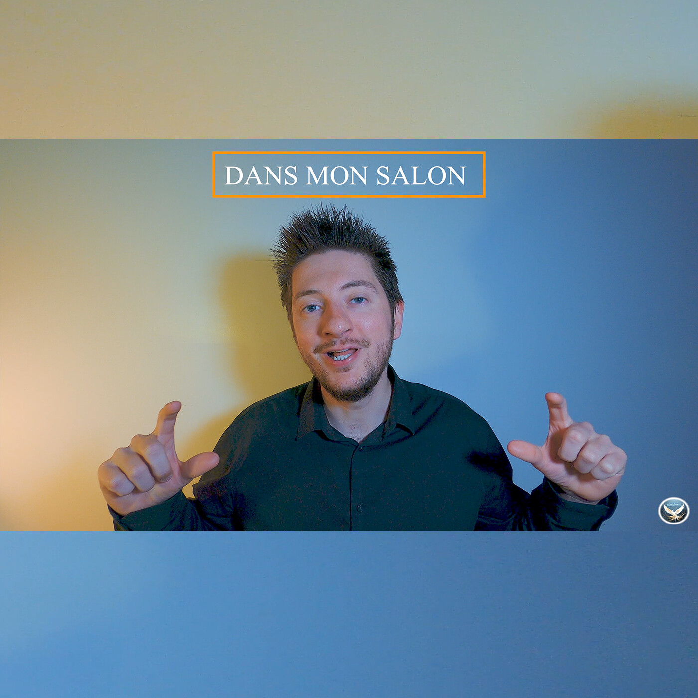 DANS MON SALON podcast artwork
