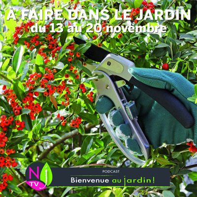 QUE FAUT-IL FAIRE  DANS LE JARDIN DU 6 AU 13 NOVEMBRE ? cover