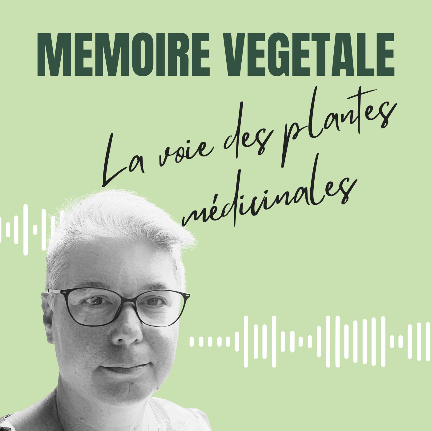 Mémoire végétale : la voie des plantes médicinales