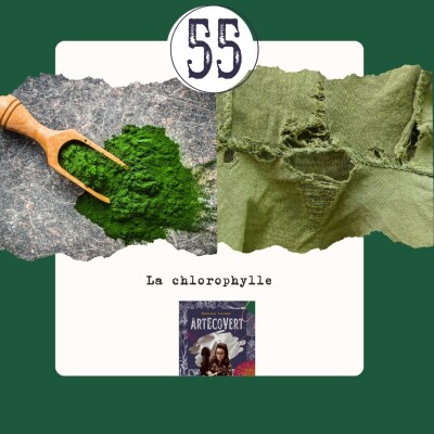 La chlorophylle cover