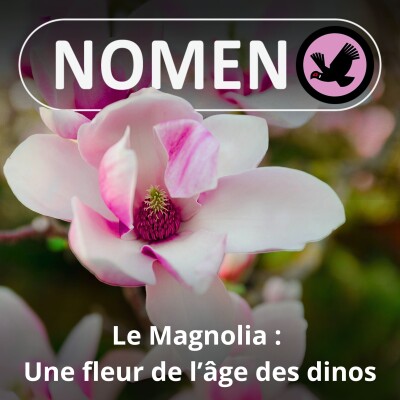 S05E04 Le Magnolia : Une fleur de l'âge des dinos ! cover