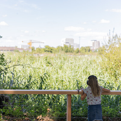 Pirmil-les-isles : Entre urbanisme et nature, quels usages pour le futur jardin de la Cale Aubin ? cover