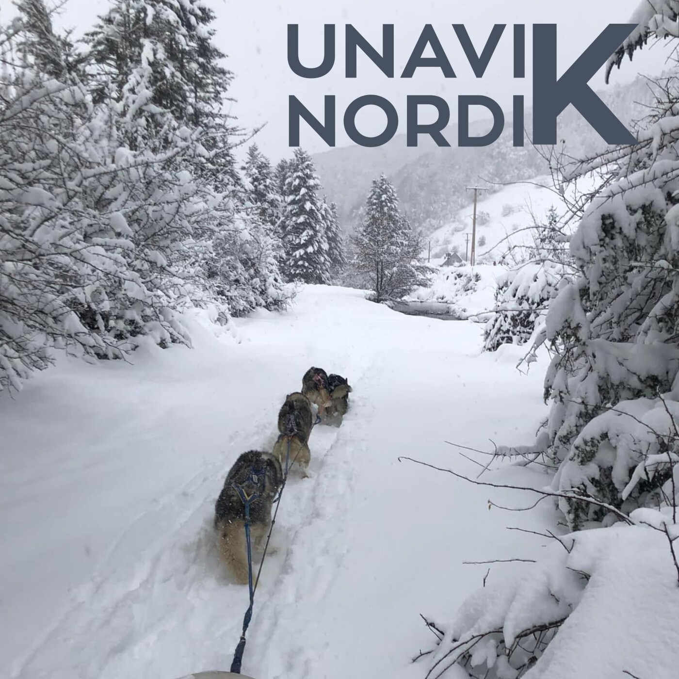 UNAVIK NORDIK