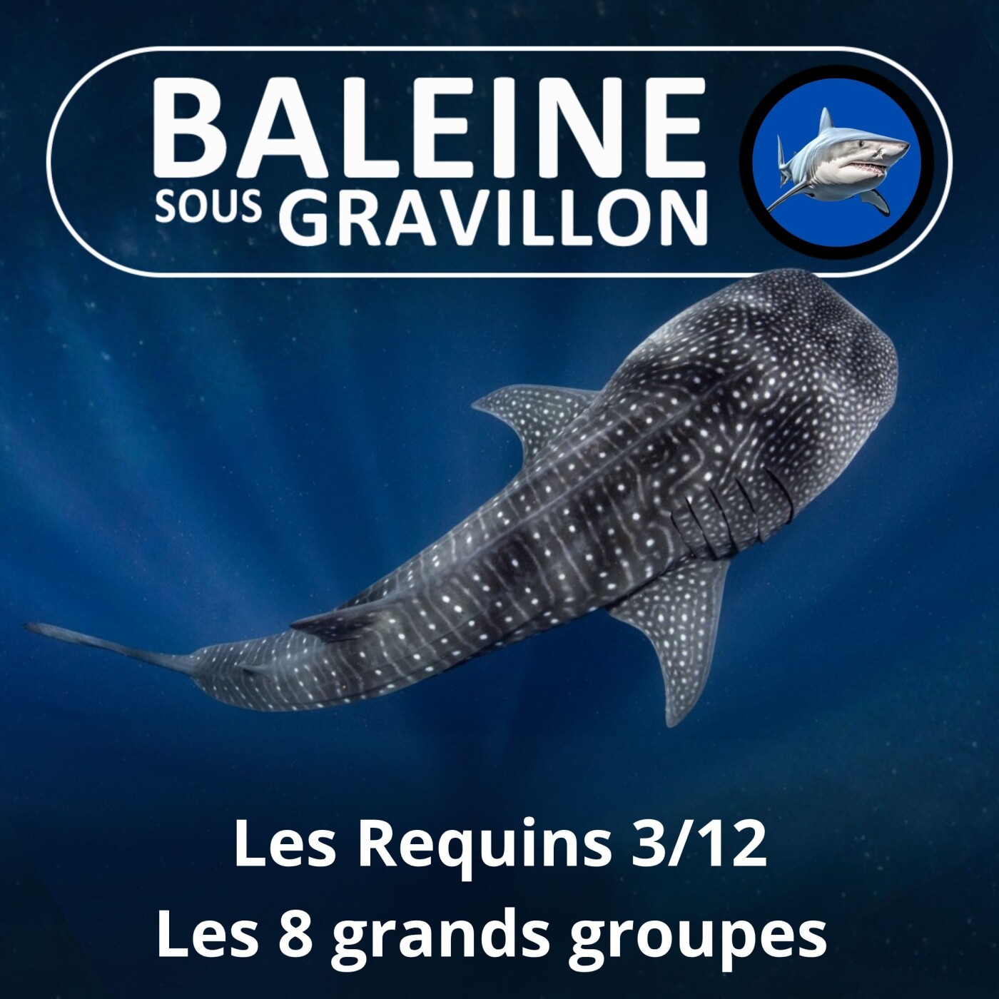S04E07 Requins 3/12 : Les 8 grands groupes episode artwork
